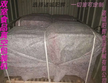 汕頭四臺真空包裝機(jī)